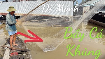 Nghề Xúc Cá Này Ở Miền Tây ít có Ai làm được Với Kinh Nghiệm 20 năm trong nghề