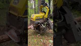 “The Queen Of The Forest: John Deere 1270G Harvester In Action” #Johndeere #Harvester #Viral #Tree