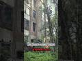 The abandoned college / заброшенный колледж
