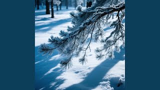 Frozen Pine Shadows