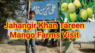 Jahangir Khan Tareen / Ali Khan Tareen Mango Farms Visit | مائر مصطفی |