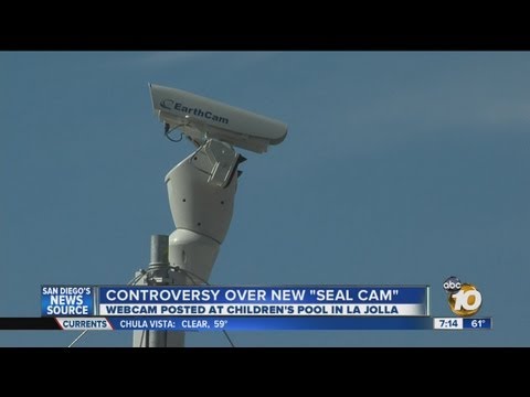 City installs webcam at Children's Pool