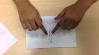 Mitosis Flipbook