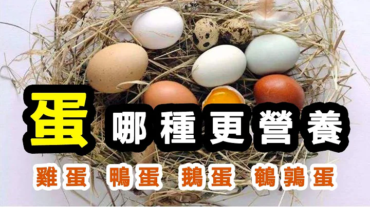 哪种蛋更有营养呢？鸡蛋 鸭蛋 鹅蛋 鹌鹑蛋到底有什么不同。如何选择适合自己吃的蛋类。日常健康养生小知识 - 天天要闻