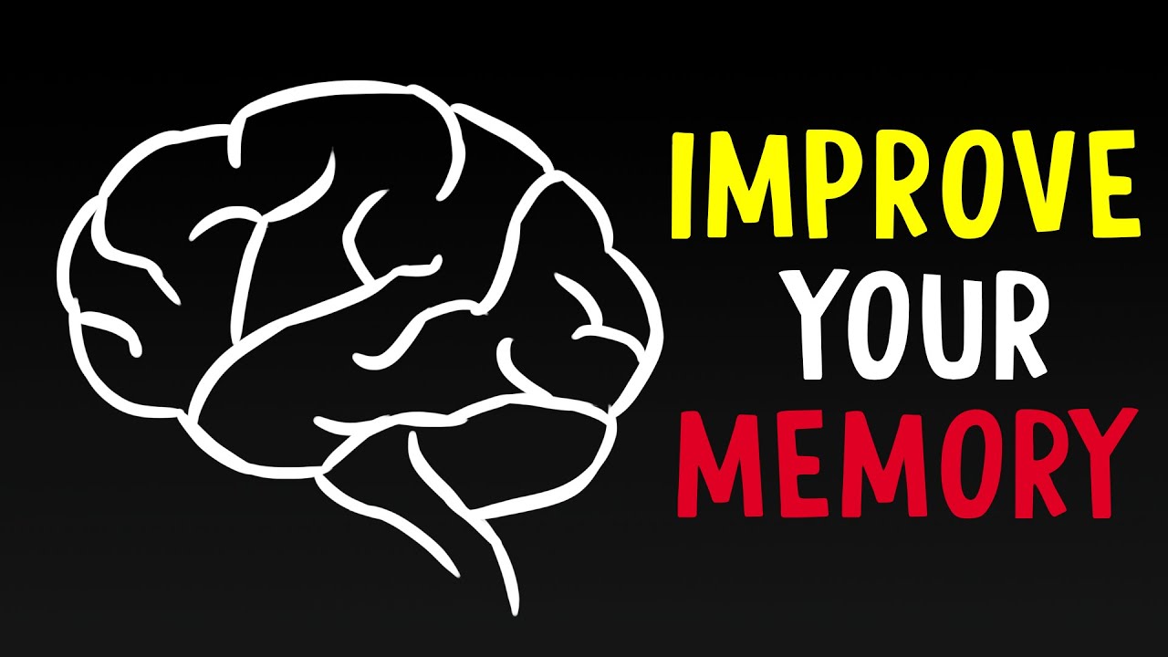 How to Improve Your Memory - YouTube