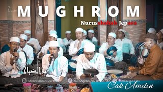 Cak AMILIN || MUGHROM || NURUSSHOBAH JEPARA