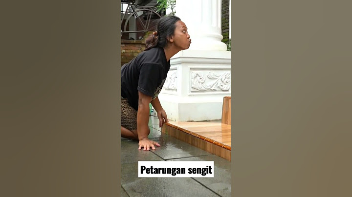 PETARUNGAN SENGIT LAWAN KING KOBRA