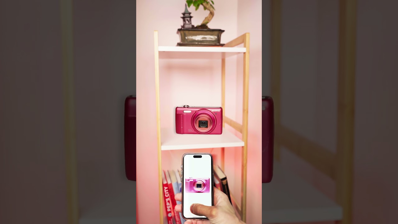 The Best Cameras You Can Buy Right Now