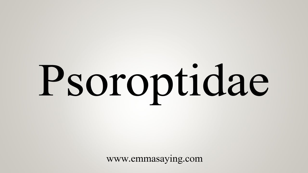 How To Say Psoroptidae