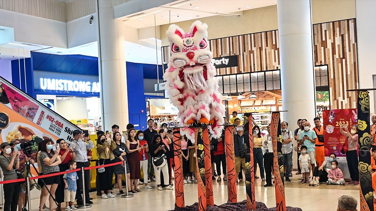 You Won't Believe What's Dancing on a Pole at JCube! Rabbit or Lion?
