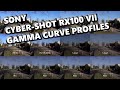 Sony cybershot rx100 vii rx100m7 gamma curve color profiles samples