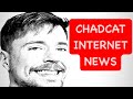 MrBeast Mexico Controversy - ChadCat Internet News