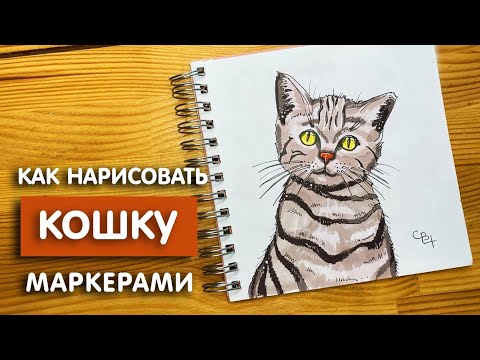 Как нарисовать кошку скетч маркерами | Рисунок для детей, поэтапно и легко