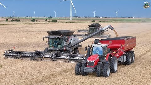 Wheat Harvest 2025 near Vernon Texas | Gleaner Combines
