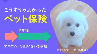こうすりゃよかったペット保険 ～実際の診療費からベストなプランを考察～