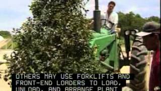 Nursery Workers