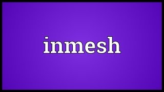 Inmesh Meaning Update