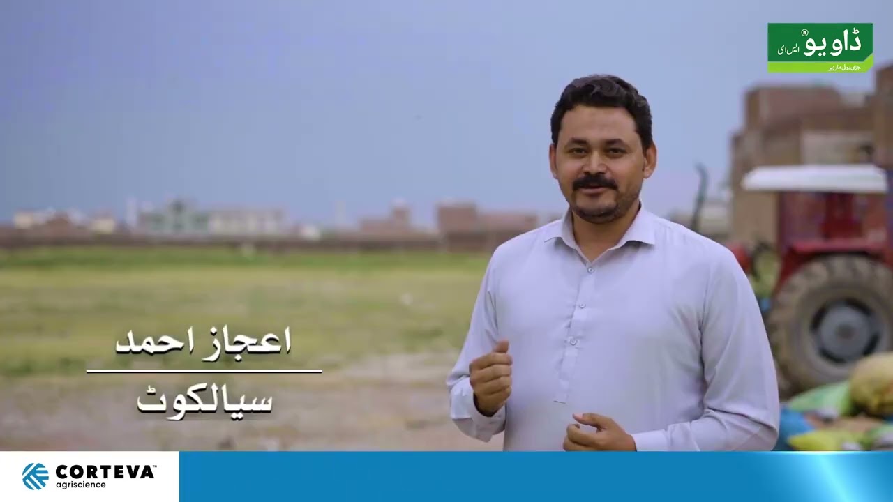 Corteva Daoyou I Customer Feedback