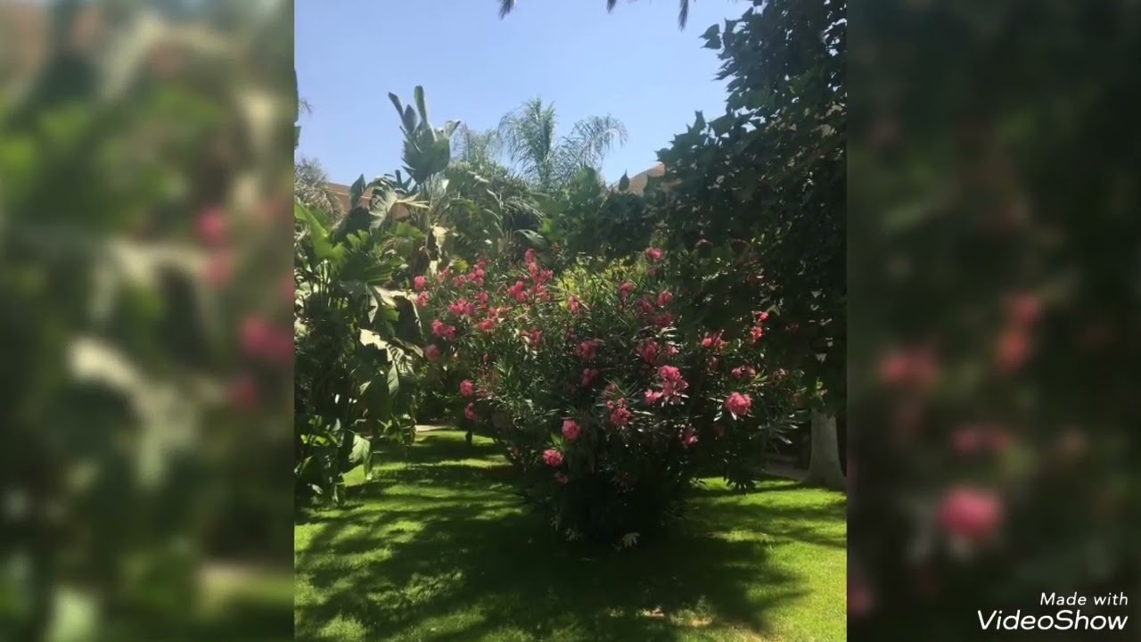 للاثرياء قصر فخم 19 فدان بجمعية احمد عرابى بسعر مغرى 01127888151