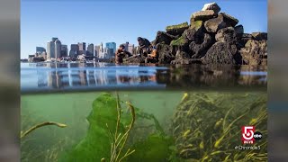 Boston’s historic Fish Pier has changed with the times, but stays true to its roots
