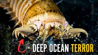 Why Are Aquatic Worms So Much More Terrifying Than Land Worms?