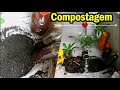 Como fazer compostagem (com restos da cozinha)