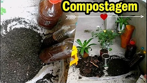 Pode colocar resto de comida na compostagem?