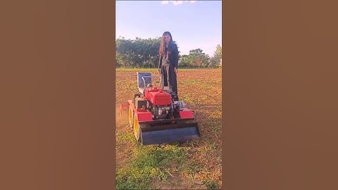 micro-tillage machine and Little Leopard King