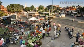 Timelapse of traffic and street market, Jaipur, Rajasthan, India, 2011.