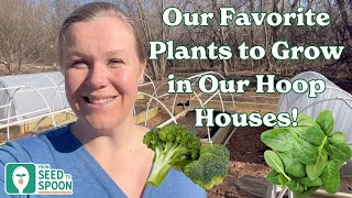 Why We Grow These Plants in Our DIY Hoop House Gardens!