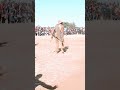 Buhimila Cheki Majabu Yake Buhimila Cheki Majabu Yake