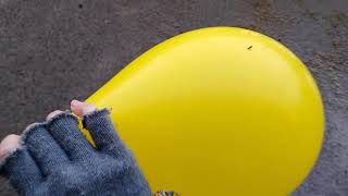 Bug Crawling On Yellow Balloon Deflating Outside screenshot 2