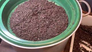 ReSetting Breeder Bin - New Method of Separating the Adults from the Cocoons