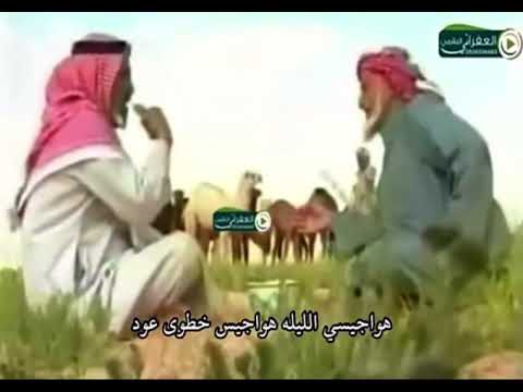 هواجيسي الليله هواجيس خطوى عود اداء محمد النجم