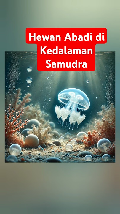 Siklus Hidup Tak Berujung, Misteri Ubur-Ubur Abadi #shortvideo #funfacts #shorts #faktatersembunyi