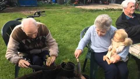 The value of volunteers