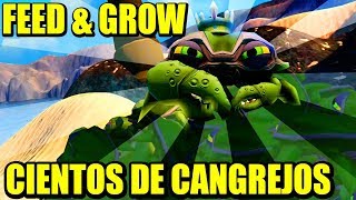 CANGREJO REY Y MONTAÑA DE TIMMYS  FEED AND GROW FISH | Gameplay Español