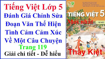 Đánh Giá Chỉnh Sửa Đoạn Văn Thể Hiện Tình Cảm Cảm Xúc Về Một Câu Chuyện | Tiếng Việt Lớp 5 Trang 119