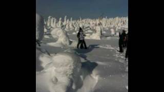 At the top of Ruuhitunturi mountain, Salla, Lapland