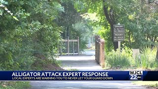 Alligator kills woman in Hilton Head; ways attacks can be prevented