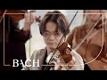 Bach  violin concerto in a minor bwv 1041  sato  netherlands bach society