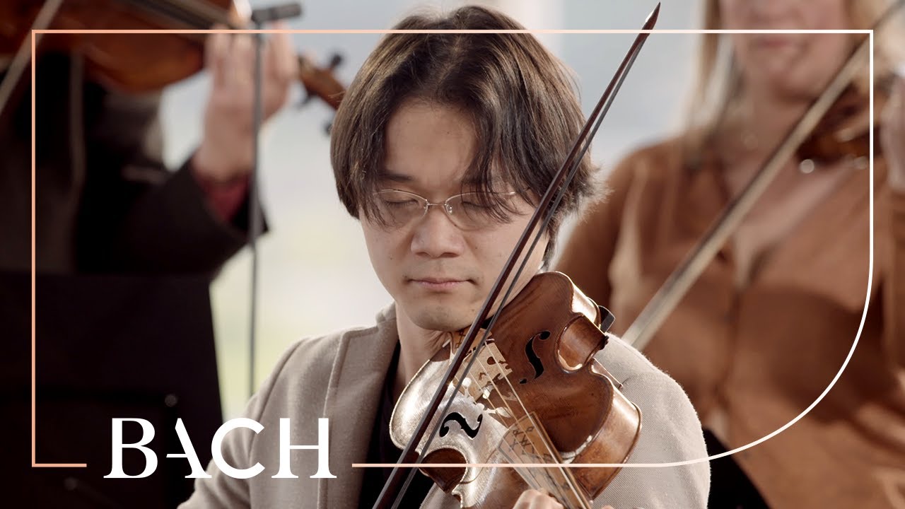 Bach - Violin in A minor BWV 1041 - Sato | Netherlands Bach Society YouTube