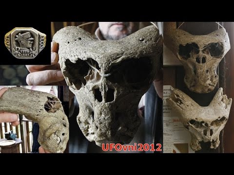 One Of The Strange And Annunaki Skulls Found Adygea, Russia