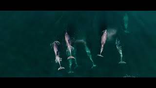 Film De Phares En Îles