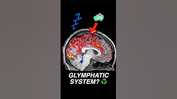 Your brain washes away toxins during sleep | Glymphatic system #Neuroscience #Sleep #Brain #Health