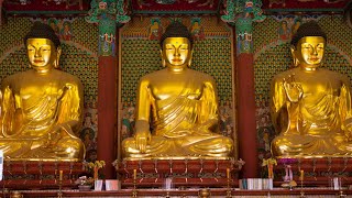 Visit Jogyesa Temple in Seoul, South Korea screenshot 3