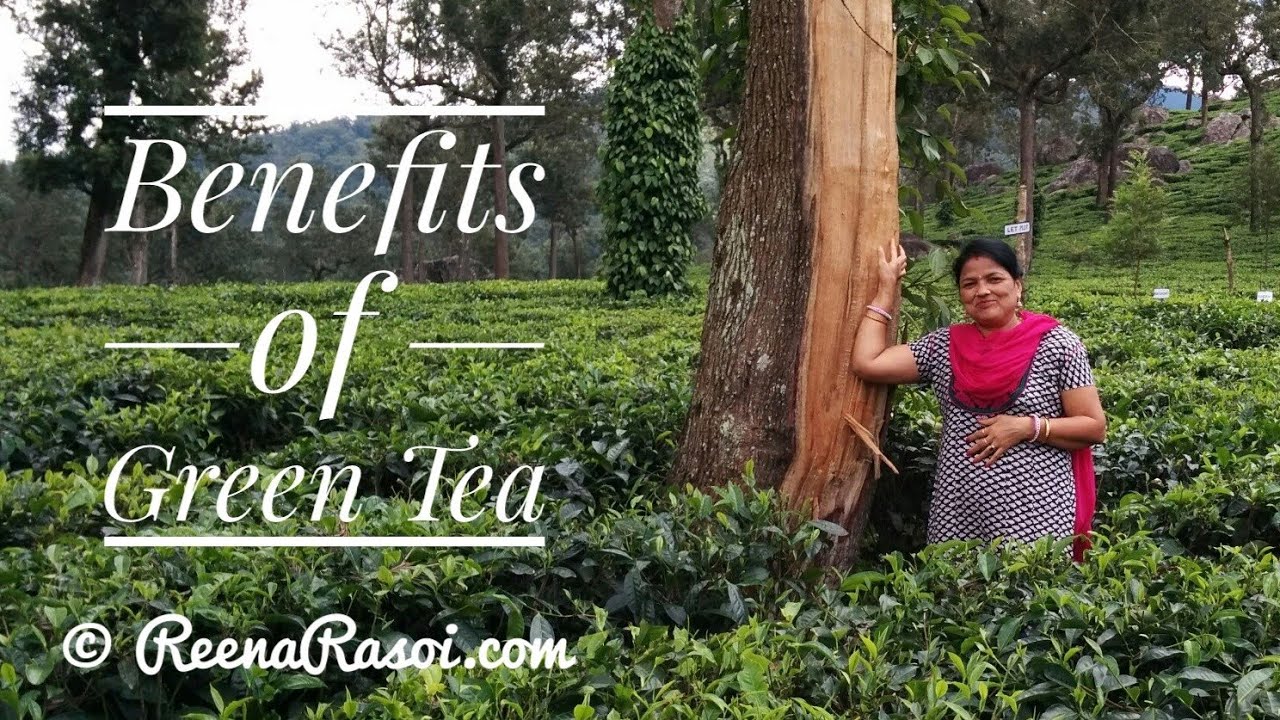 Benefits of Green Tea ग्रीन टी के फायदे। बनाने का सही तरीक़ा