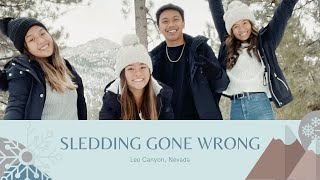 SLEDDING GONE WRONG | SNOW VLOG