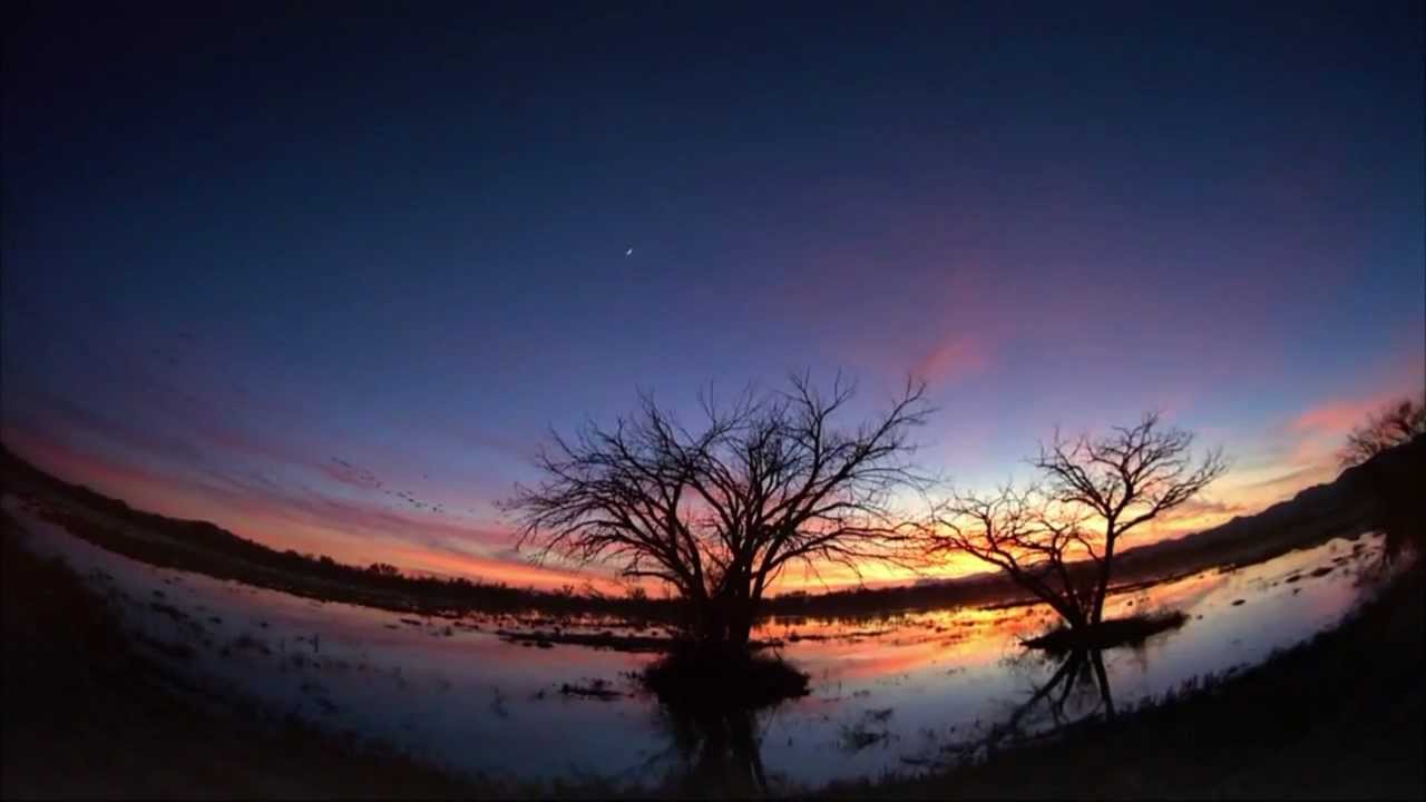 TROVARE DIO - NOMADI