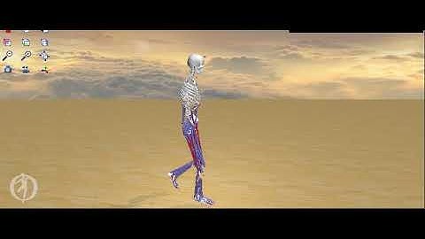 Ankle muscles activities during gait analyzed by simulation using the human musculoskeletal model